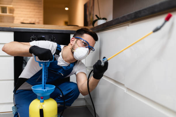 Best Rat Extermination Near Me  in Helper, UT