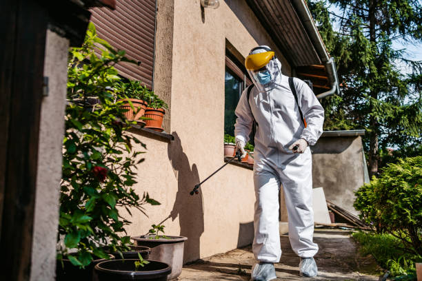 Best Affordable Pest Control Services  in Helper, UT