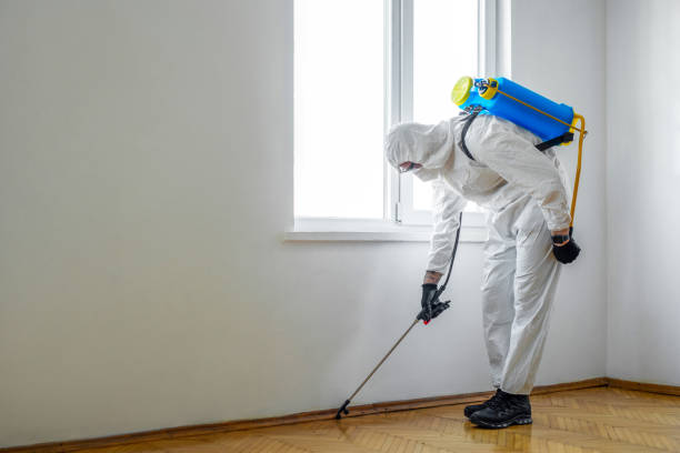 Best Termite Control Services  in Helper, UT