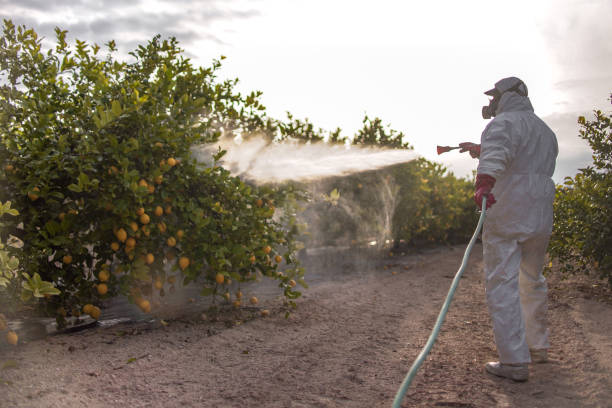 Best Pest Prevention Services  in Helper, UT