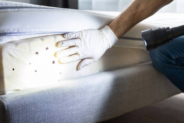 Best Pest Control Near Me in Helper, UT