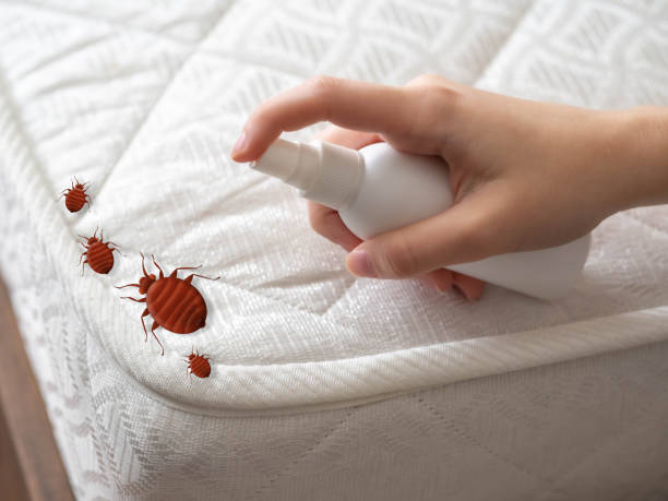 Best Pest Inspection Near Me  in Helper, UT