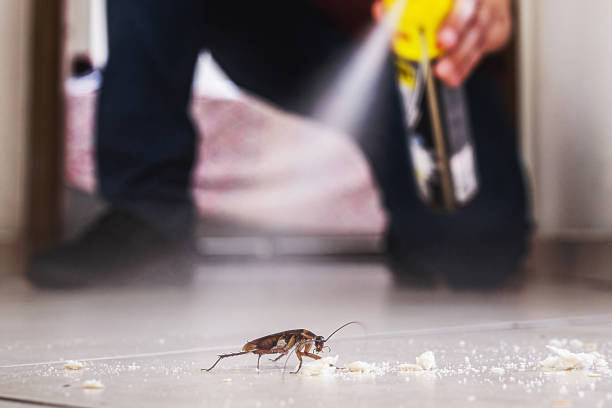 Best Pest Prevention Services  in Helper, UT