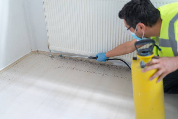 Best Cockroach Control Services  in Helper, UT