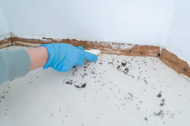 Best Emergency Pest Control  in Helper, UT