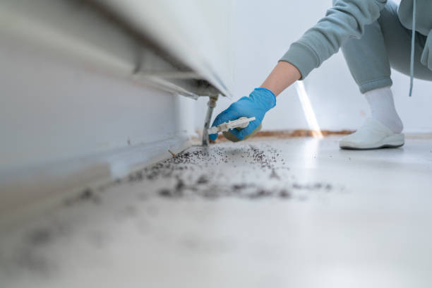 Best Pest Control Near Me  in Helper, UT